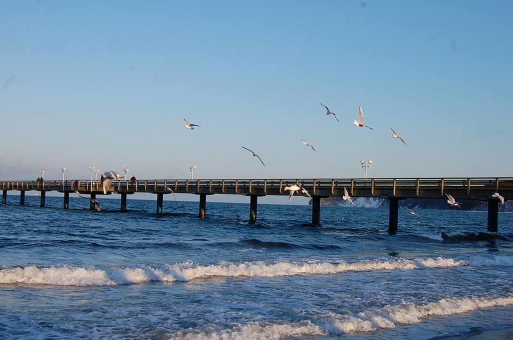 Auf Rügen